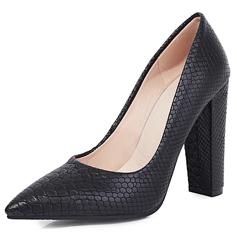 S14a9d550b38443eba1c805c6244311bey